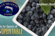 Graphic Image With Blue Meadow Farm Logo And Container Of Blueberries That Reads "Pick For Guests Of" And The Open Table Logo